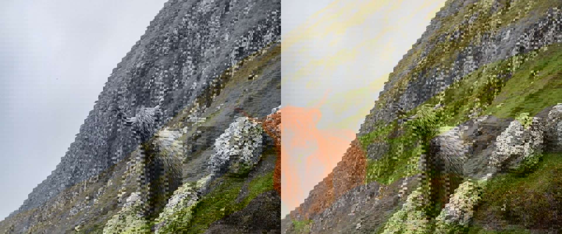 Home page header Image